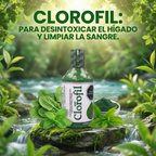 04V DESINTOXICANTE Y OXIGENANTE CLOROFIL