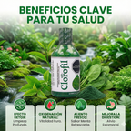 04V DESINTOXICANTE Y OXIGENANTE CLOROFIL