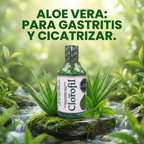 04V DESINTOXICANTE Y OXIGENANTE CLOROFIL